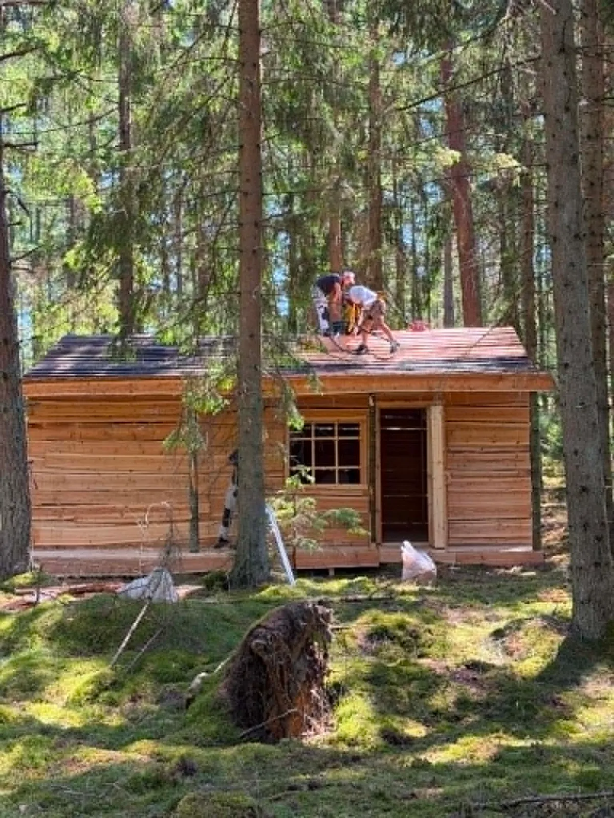 Færdig hytte med håndværker på taget, set i skovlys